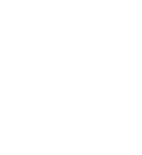 SLOAIOFM logotip — mentorstvo za AI modele